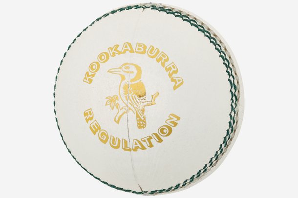 Kookaburra Regulation white.jpg